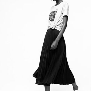 Gorgeous J Crew Pleated Skirt Sz 4